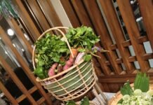 Ramada by Wyndham Unveils the”Taste of Malay” Food Festival