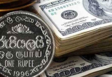 Rupee hits new low against USD